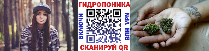 Конопля индика  Купить где  Чебаркуль 